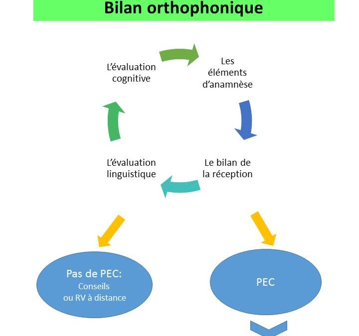 Flash info ORTHO 4