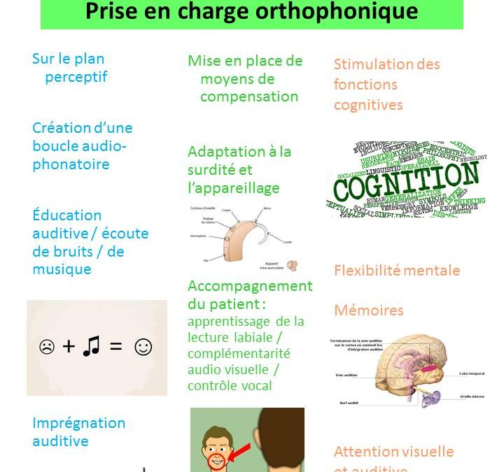 Flash info ORTHO 5